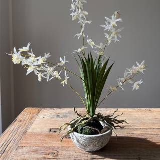 Orchidee Seiden-/Kunstpflanze cremeweiß | Mooie Tijd