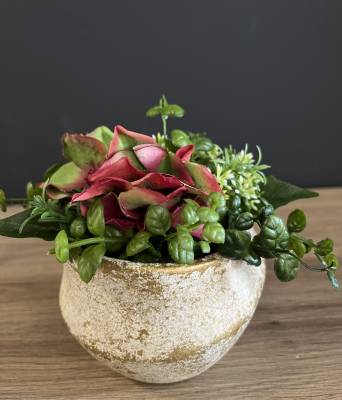Naturdeko im Vintage-Topf |Handgemacht| Mooie Tijd