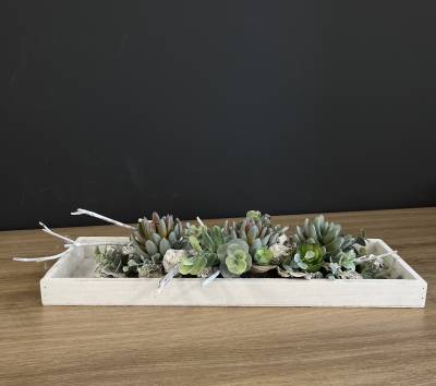 Gesteck auf Tablett mit Sukkulenten |Handgemacht| Mooie Tijd